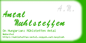 antal muhlsteffen business card
