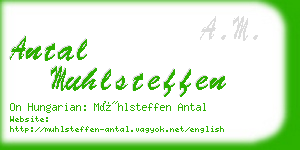 antal muhlsteffen business card